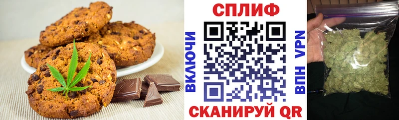 где купить наркоту  мориарти формула  Cannafood конопля  Данилов 